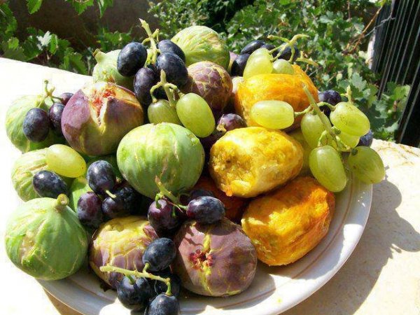 A Ramadán havi böjt egy Algériában élő magyar nő szemével