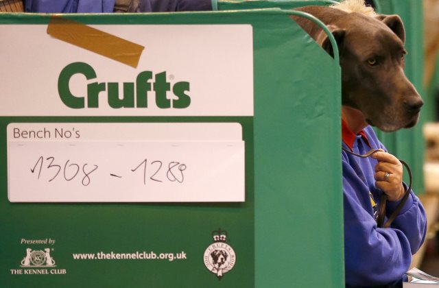 Fotó: Darren Staples/Reuters 