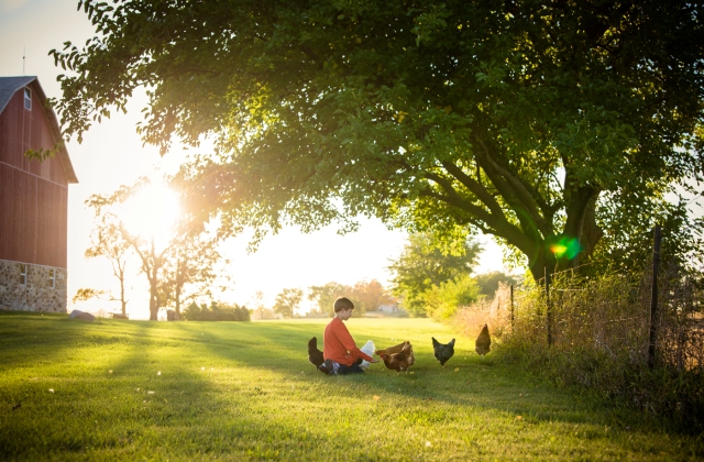 Anyám tyúkja – látogatóban a nagyszülőknél