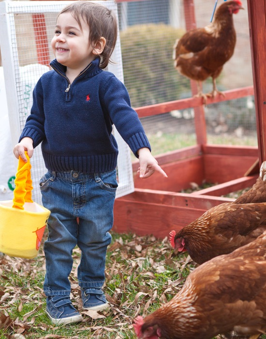 Anyám tyúkja – látogatóban a nagyszülőknél
