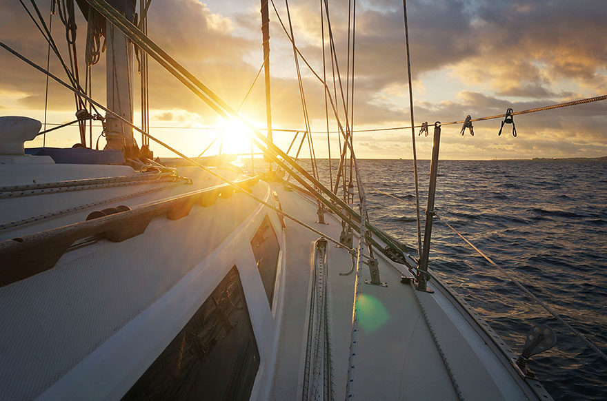 Mindenüket eladta a pár és most macskájukkal hajózzák körbe a Földet - fotók