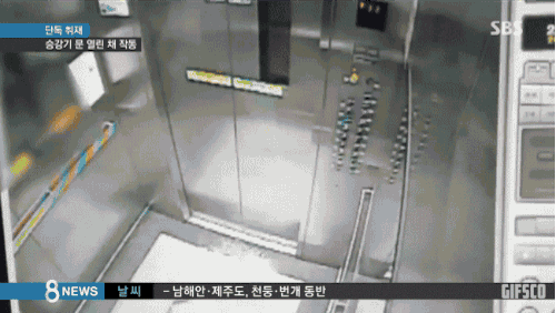 17 gif, amitől a te szíved is leáll pár pillanatra