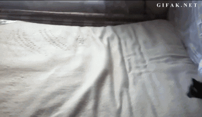 17 gif, amitől a te szíved is leáll pár pillanatra