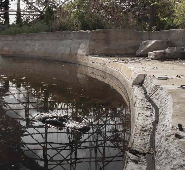 Hátborzongató fotók: ez maradt a bezárt vidámparkokból