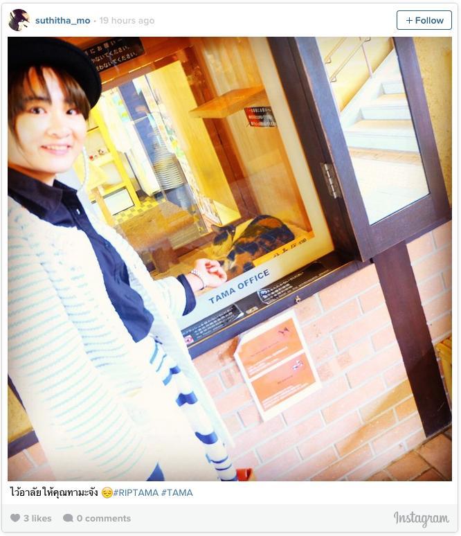 Több ezren kísérték útjára Japán leghíresebb macskáját Több ezren kísérték útjára Japán leghíresebb macskáját