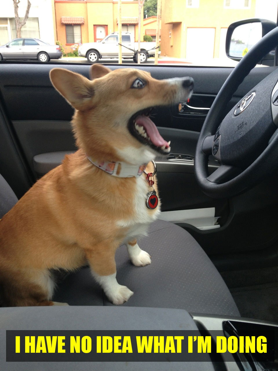 Remélem megbocsátod, de suttyomban lőttem rólad egy fotót...