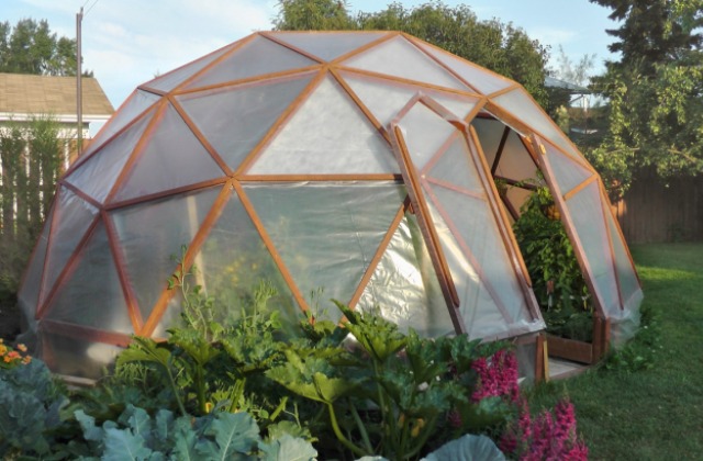 A fóliasátor rejtelmei – használati trükkök és tippek