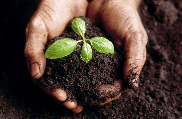 Komposztálás felsőfokon