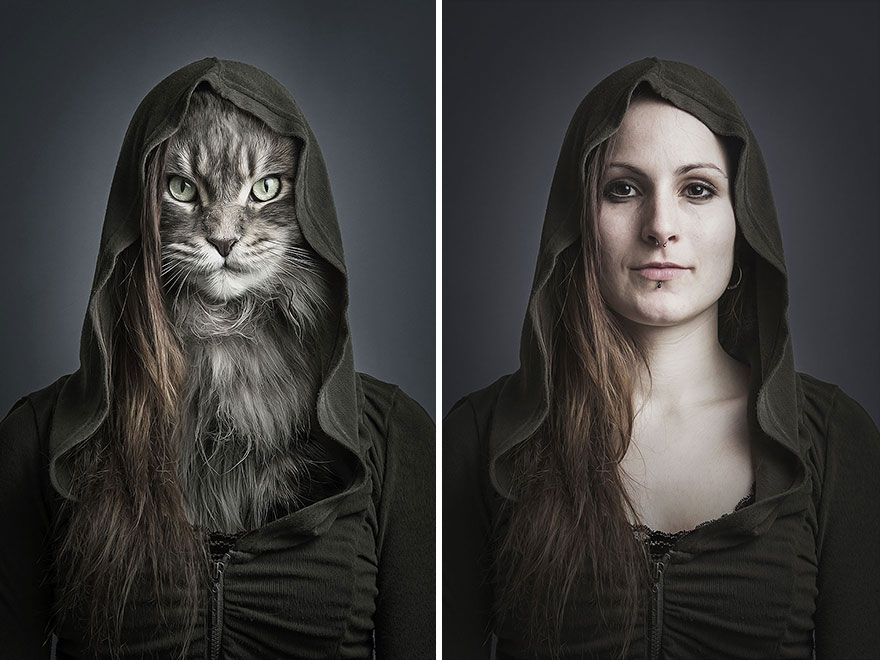 Így néznének ki a macskák emberi ruhában - mókás képek