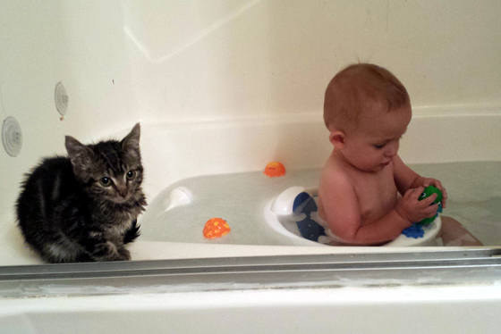 31 kép, amitől garantáltan jobb napod lesz, ha megnézed őket