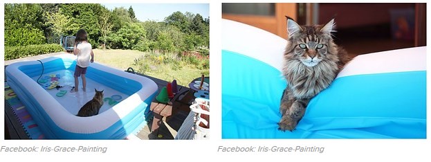 31 kép, amitől garantáltan jobb napod lesz, ha megnézed őket