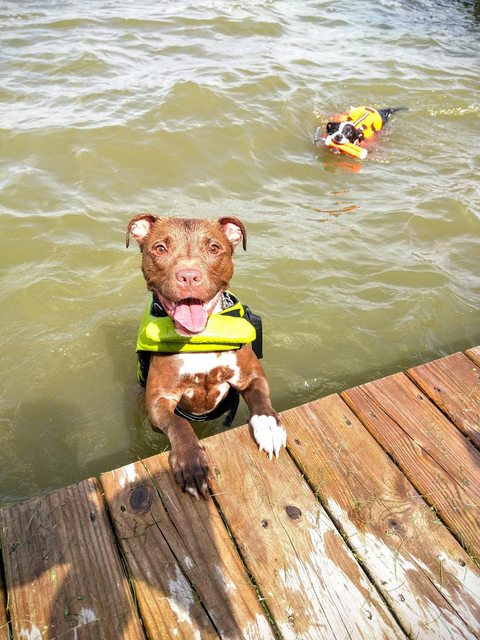 31 kép, amitől garantáltan jobb napod lesz, ha megnézed őket