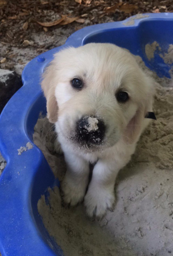 31 kép, amitől garantáltan jobb napod lesz, ha megnézed őket