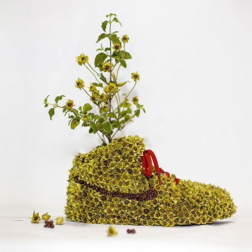 Sportcipőket alakított át minikertekké - fotók