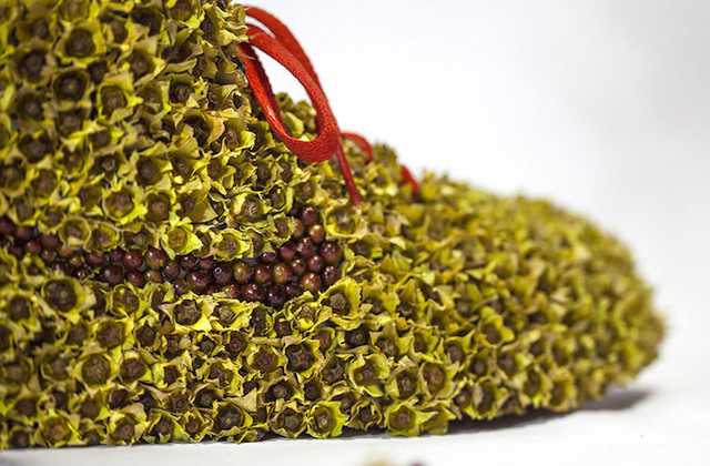 Sportcipőket alakított át minikertekké - fotók Sportcipőket alakított át minikertekké - fotók