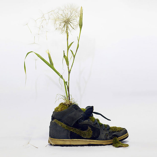 Sportcipőket alakított át minikertekké - fotók