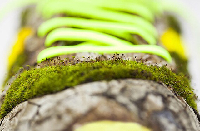 Sportcipőket alakított át minikertekké - fotók