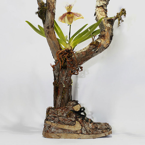 Sportcipőket alakított át minikertekké - fotók