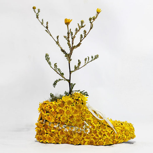 Sportcipőket alakított át minikertekké - fotók