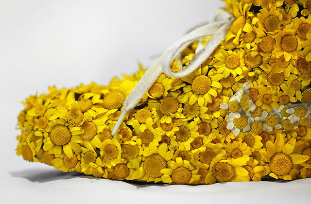 Sportcipőket alakított át minikertekké - fotók