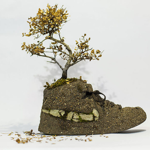 Sportcipőket alakított át minikertekké - fotók