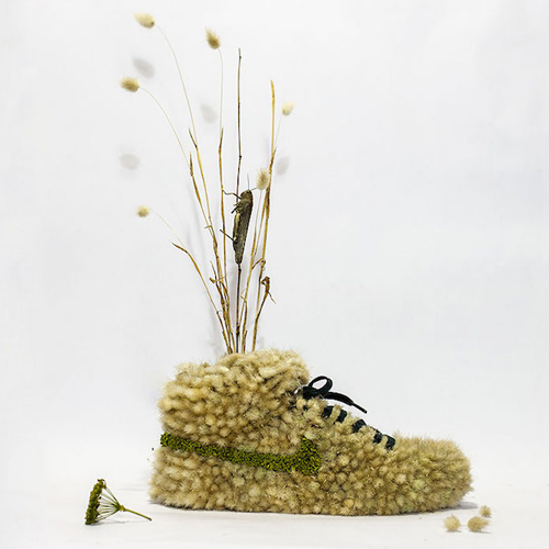 Sportcipőket alakított át minikertekké - fotók