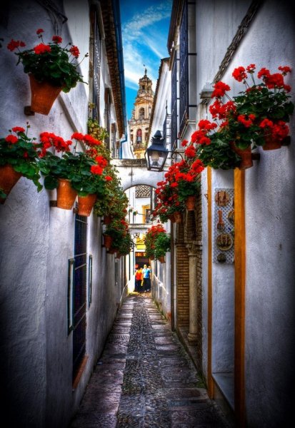 Nyáresti séta zegzugos mediterrán városokban