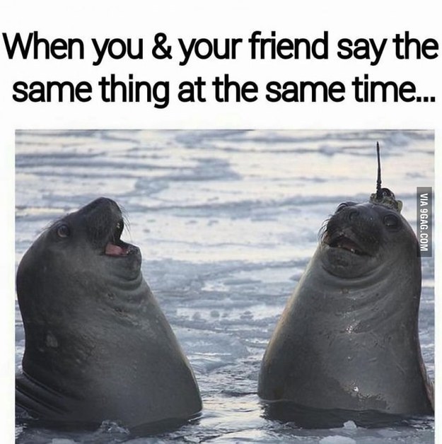 22 jel, hogy megtaláltad a lelki társad