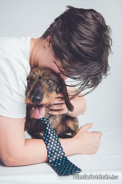 Ezért nehéz ideiglenesen befogadni egy kutyát