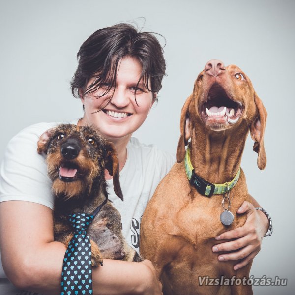 Ezért nehéz ideiglenesen befogadni egy kutyát