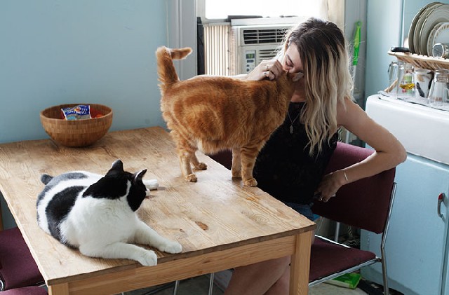 Így szeretik a nők örökbefogadott macskáikat - fotók 