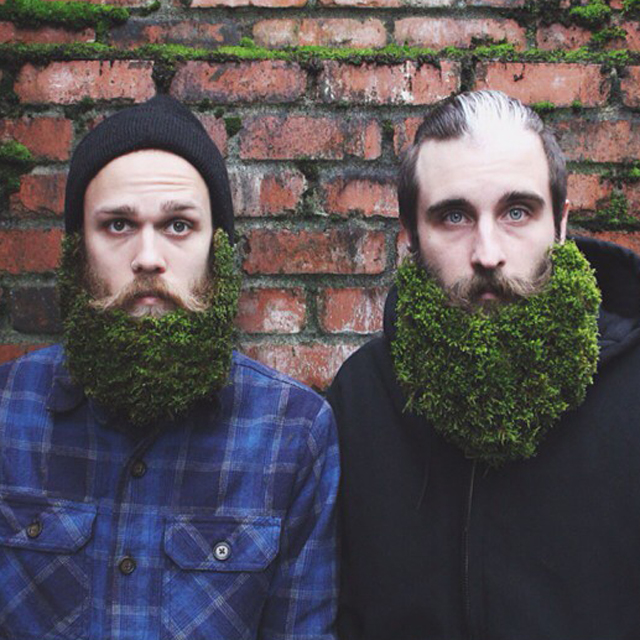 Elképesztő, amit ezek a pasik a szakállukkal művelnek! - fotók