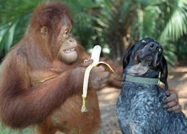 20 tökéletesen elkapott pillanat 20 tökéletesen elkapott pillanat