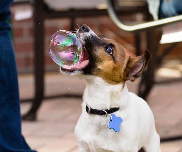 20 tökéletesen elkapott pillanat 20 tökéletesen elkapott pillanat