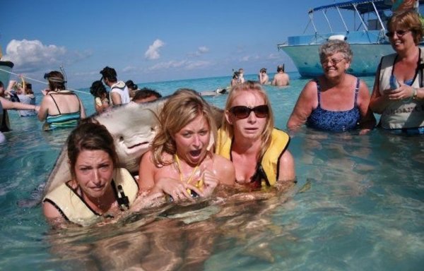 20 tökéletesen elkapott pillanat 20 tökéletesen elkapott pillanat