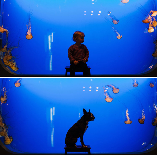 Tündéri fotók: ugyanolyan beálíltásokban fotózta a kislányát és a kutyájukat 