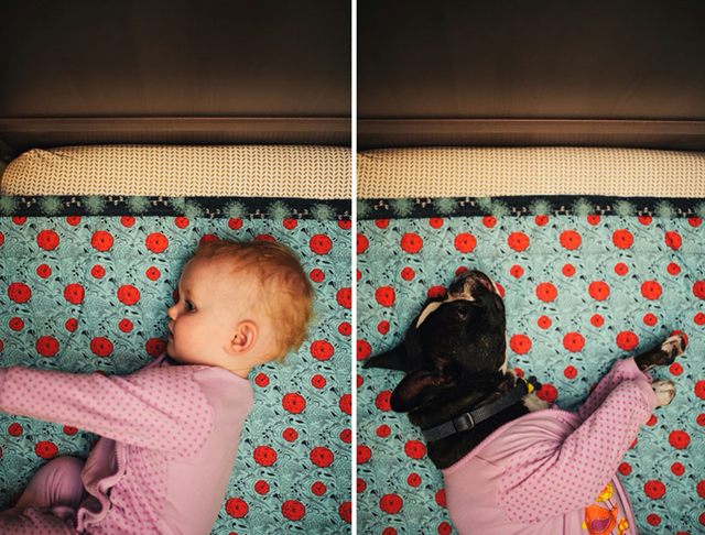 Tündéri fotók: ugyanolyan beálíltásokban fotózta a kislányát és a kutyájukat 