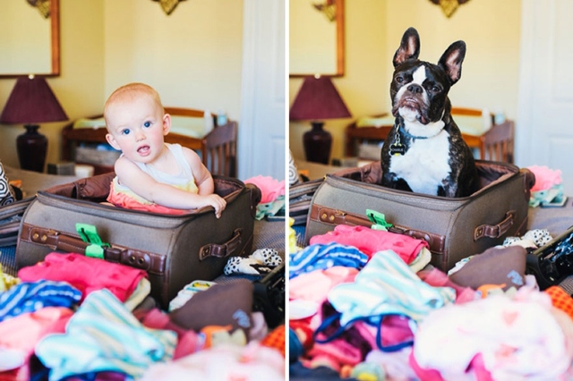 Tündéri fotók: ugyanolyan beálíltásokban fotózta a kislányát és a kutyájukat 