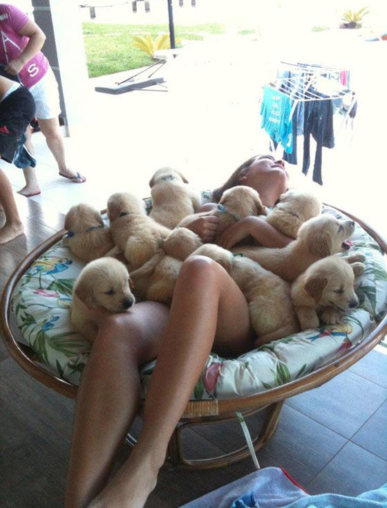 Kánikula: 13 állat, akik annyira szőrösök, hogy mi is izzadunk, ha rájuk nézünk