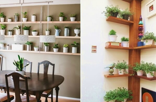 8 zseniális ötlet, hogy helyezd el a szobanövényeidet a lakásban 8 zseniális ötlet, hogy helyezd el a szobanövényeidet a lakásban
