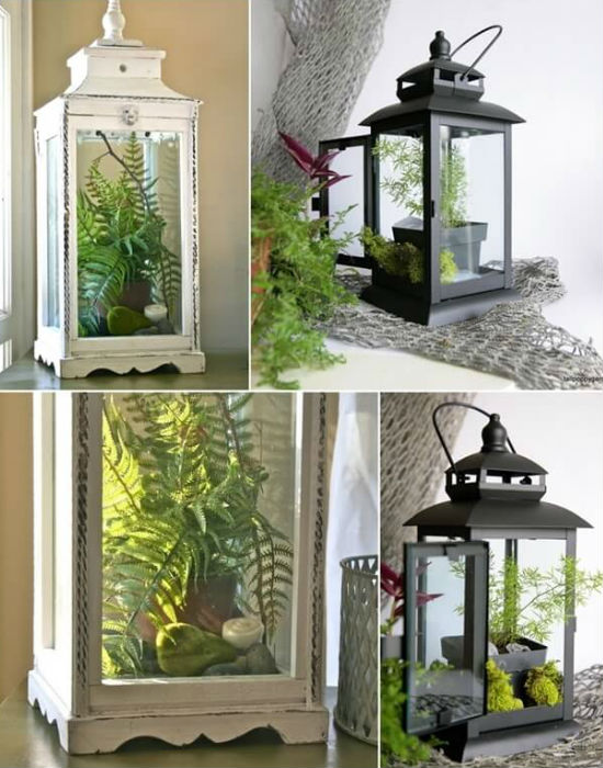 8 zseniális ötlet, hogy helyezd el a szobanövényeidet a lakásban 8 zseniális ötlet, hogy helyezd el a szobanövényeidet a lakásban