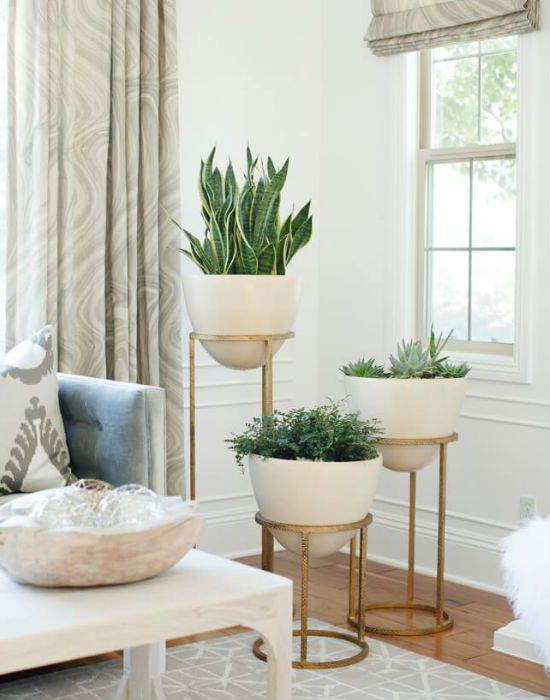 8 zseniális ötlet, hogy helyezd el a szobanövényeidet a lakásban 8 zseniális ötlet, hogy helyezd el a szobanövényeidet a lakásban