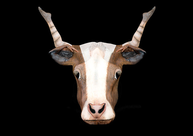 Úgy ábrázolta az állatövi jegyeket, ahogy még senki más - galéria