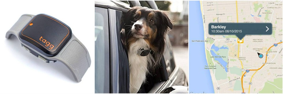 17 őrült állatos cucc