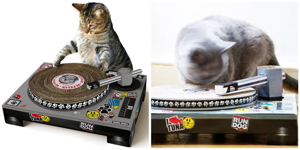 17 őrült állatos cucc