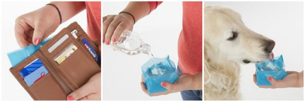 17 őrült állatos cucc