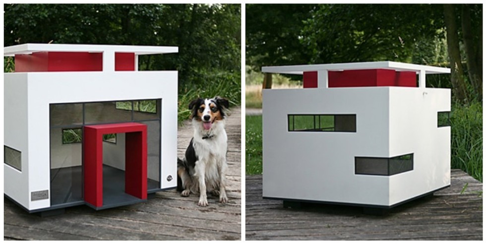 17 őrült állatos cucc