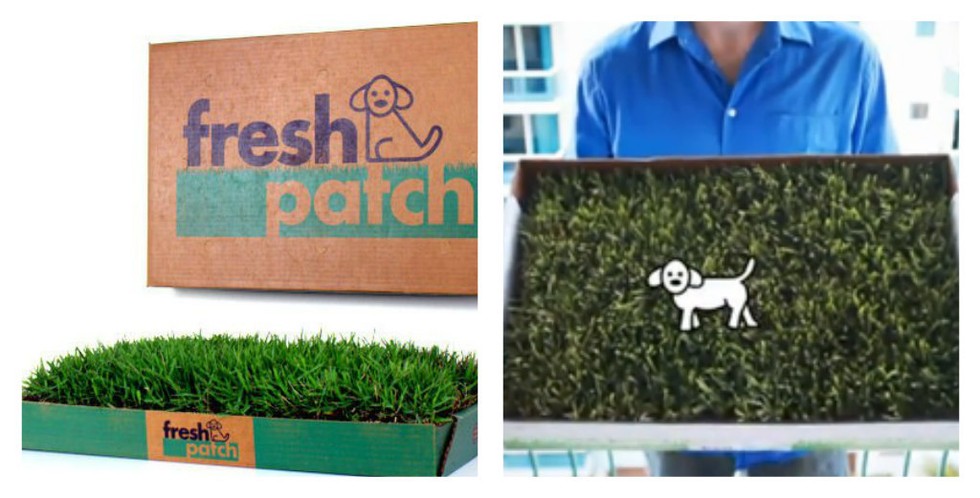 17 őrült állatos cucc