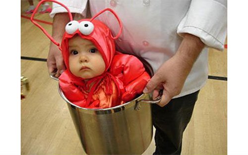 A babahordozás mellékvágányai - ilyet még nem láttál!