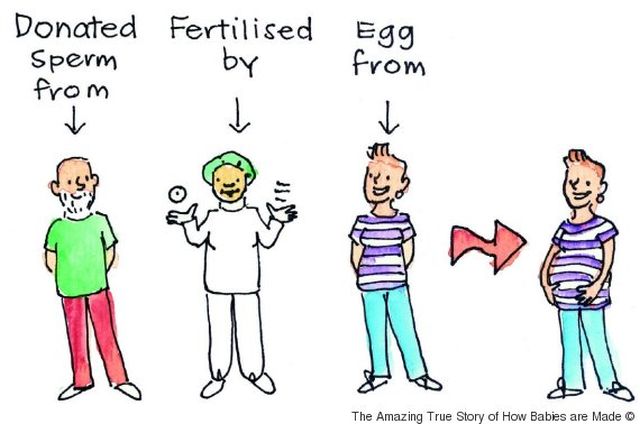 A könyv, ami elmagyarázza a spermadonációt, inszeminációt és császármetszést is a gyerekeknek